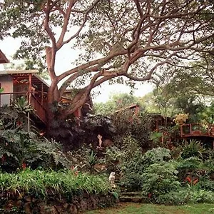 Guest house Dragonfly Ranch & Eco-spa